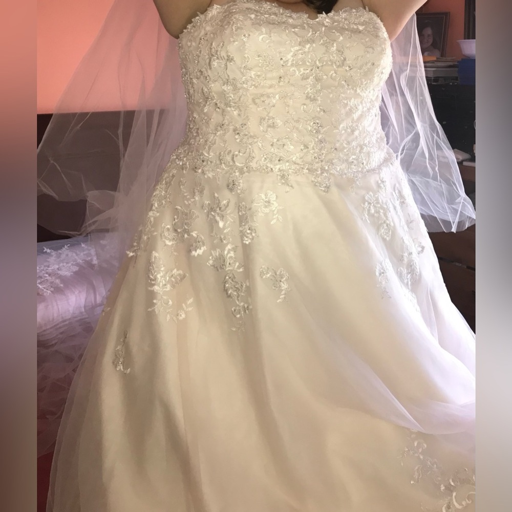 Vintage Rose -Wedding dress Plus size 28 Davids Bridal